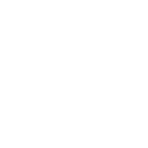 Smartphoneicon